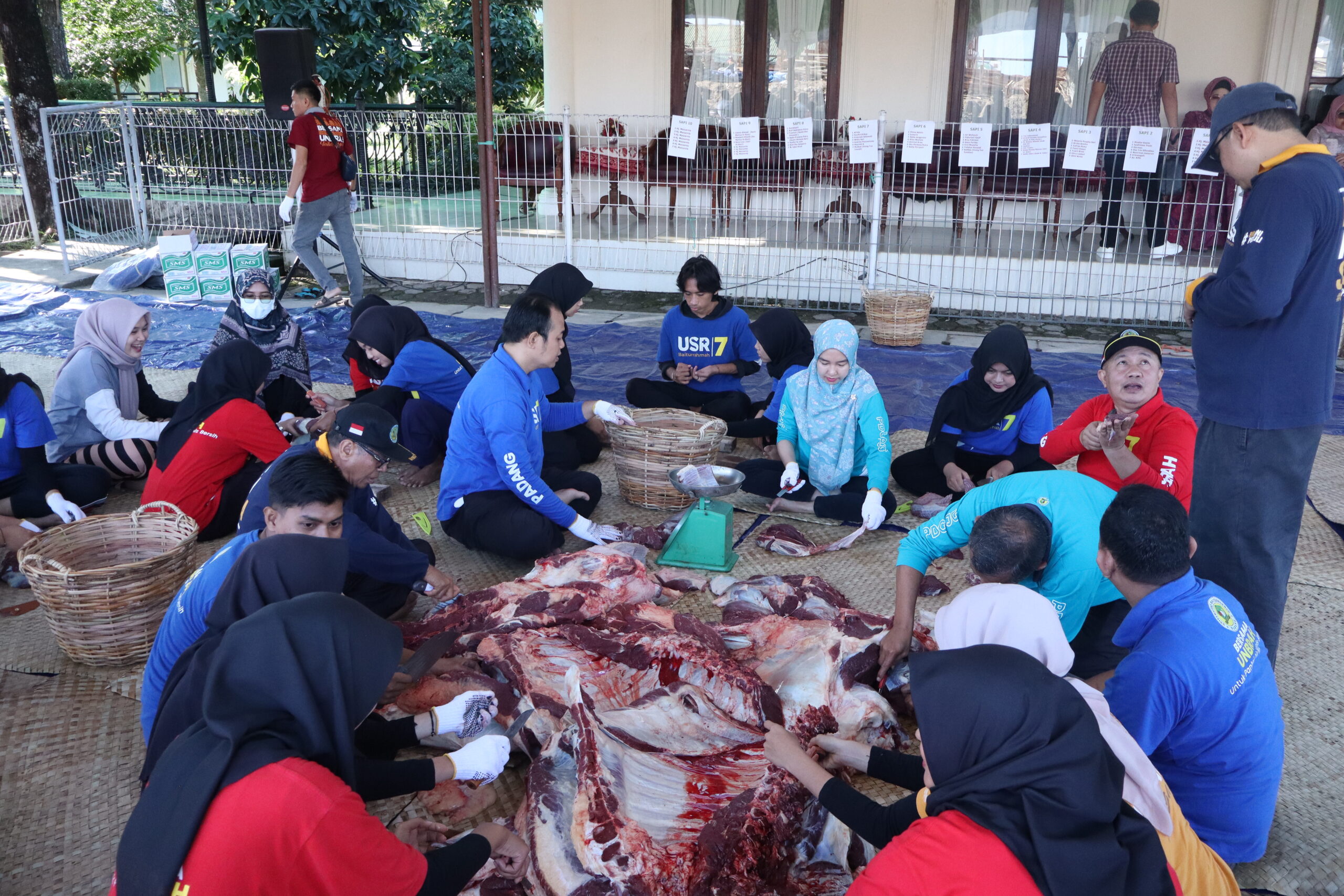 Unbrah Gelar Penyembelihan Hewan Kurban 1445 Hijriah